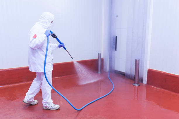 Best Rust and Stain Removal in Unt Vernon, MO